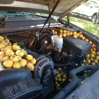 Kaputu açtığında şaşkına döndü...