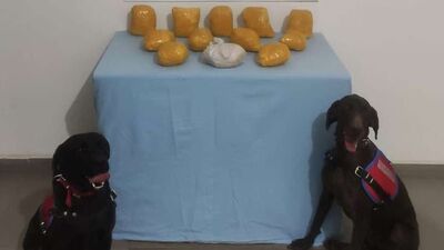 Mardin'de uyuşturucu operasyonu!