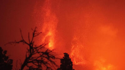 Lavlar 431 hektarlık alanı kapladı