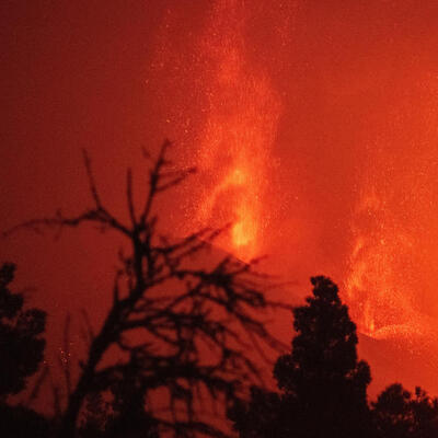 Lavlar 431 hektarlık alanı kapladı