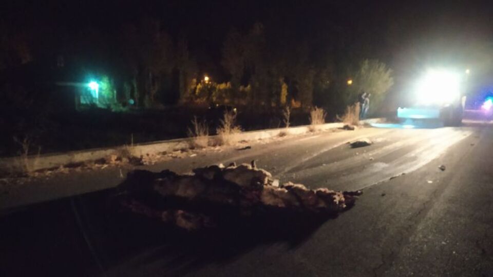 Kamyonet sürüye daldı: 32 koyun öldü