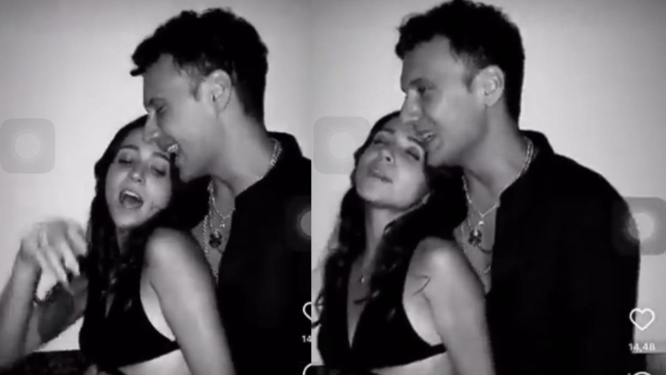 Zeynep Bastık Edis olayı nedir?