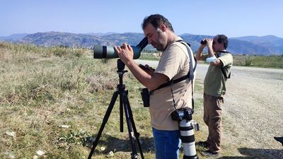 Türkiye'de ilk defa Hatay'da görüldü