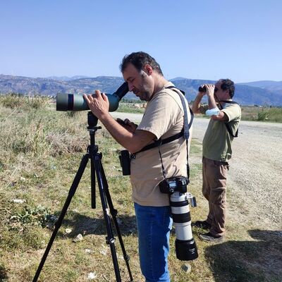 Türkiye'de ilk defa Hatay'da görüldü