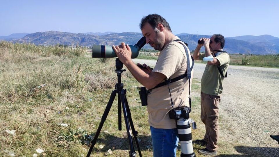 Türkiye'de ilk defa Hatay'da görüldü