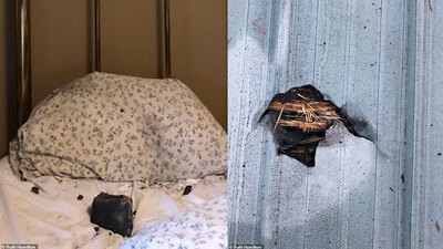 Yastığına düştü... Kıl payı kurtuldu