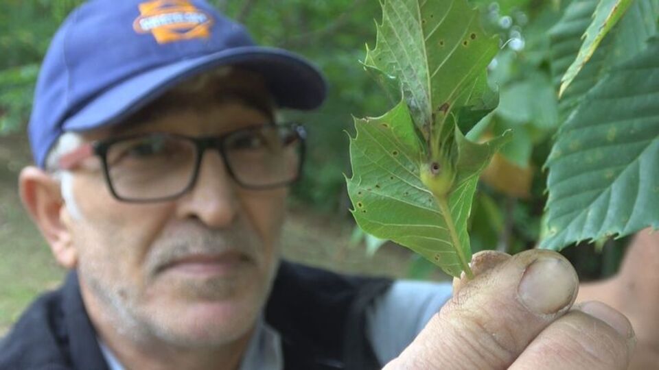 'Katil' bir ile daha sıçradı!