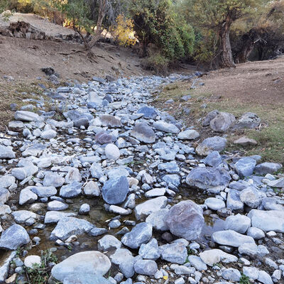 Kâbus yayılıyor! Bir dere daha kurudu