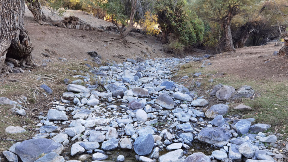 Kâbus yayılıyor! Bir dere daha kurudu