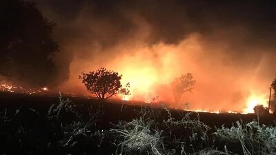 Muğla'da yıldırım düştü; orman yangını çıktı!