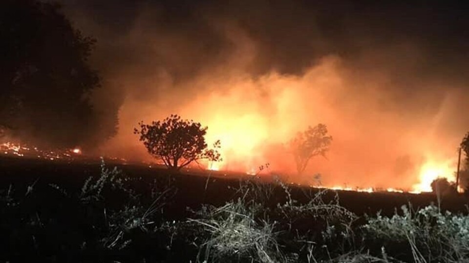 Muğla'da yıldırım düştü; orman yangını çıktı!