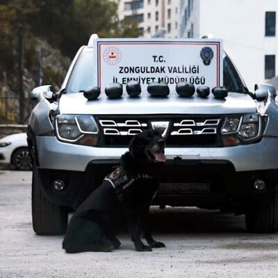 Zonguldak'ta uyuşturucu operasyonu