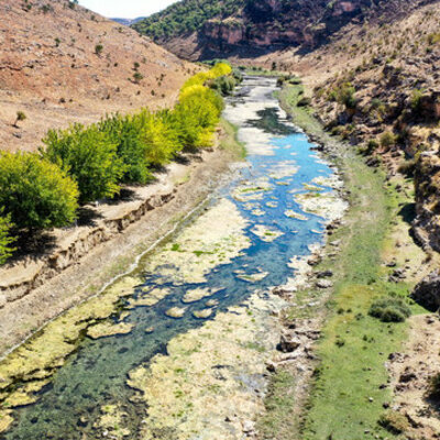'Yapamazsın' diyenlere aldırmadı... Çabası göz yaşarttı!