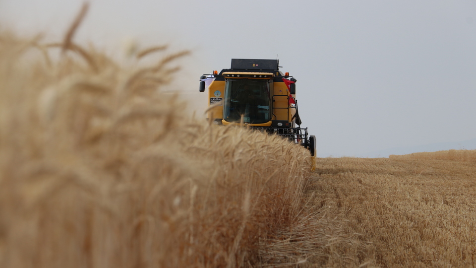 Tarım-ÜFE eylülde arttı