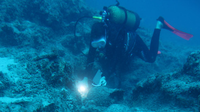 8'i de farklı yüzyıllara ait! Antalya kıyılarında bulundu