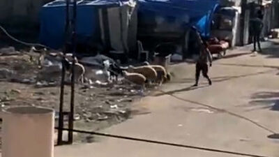 Evlerin çevresinde duvarları siper alıp çatıştılar