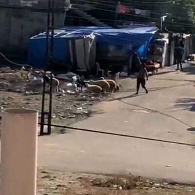 Evlerin çevresinde duvarları siper alıp çatıştılar