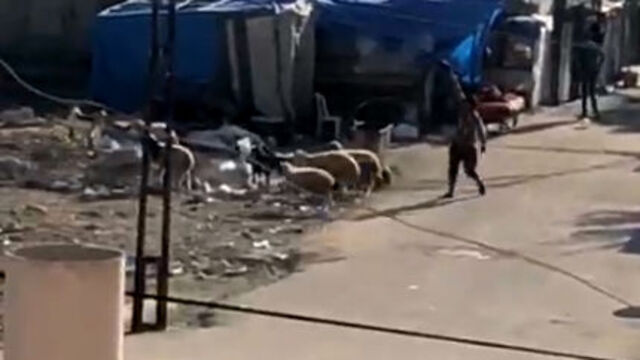 Evlerin çevresinde duvarları siper alıp çatıştılar