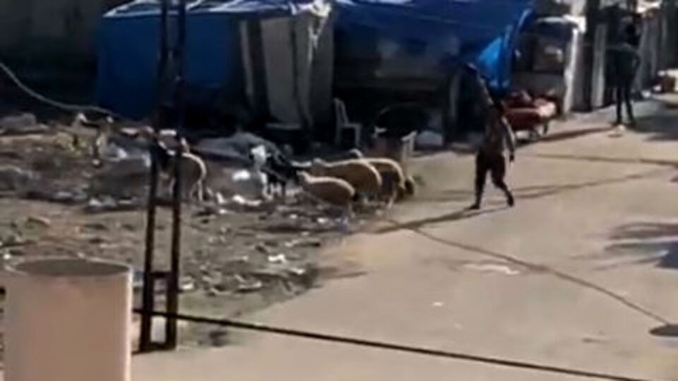 Evlerin çevresinde duvarları siper alıp çatıştılar