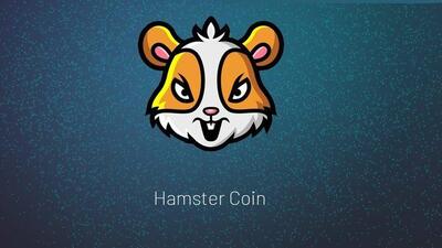 Hamstercoin nedir, nasıl alınır?