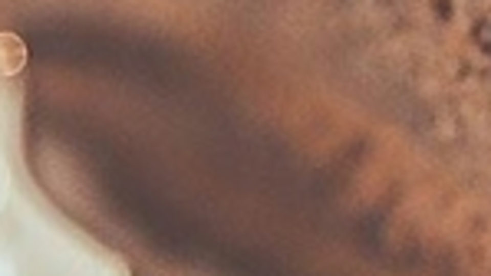 TBV'den Sağlık Bakanlığının şeker tüketimini azaltma hedefine destek