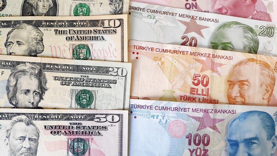 Dolarda rekor serisi 8 güne çıktı