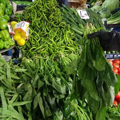 Ispanağa benziyor ama zehirliyor