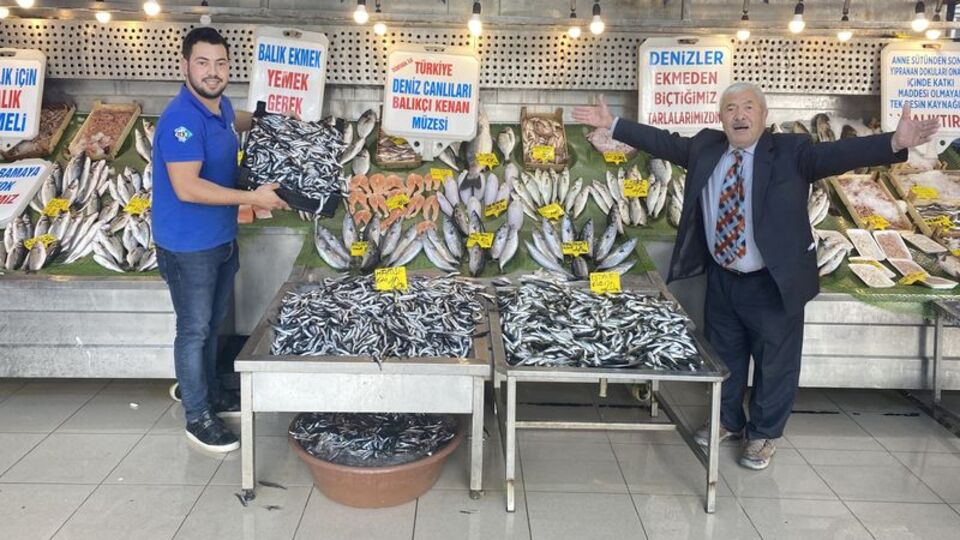 Vatandaşa hamsi müjdesi!