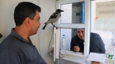 Ağzına bırakıyorlar! Para vermeyen olursa...