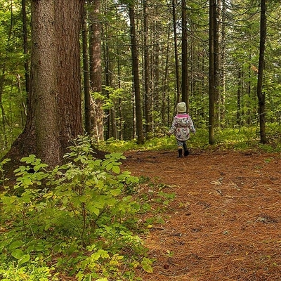 Avustralya onun için ayaklandı: Bulana 1 milyon dolar ödül!