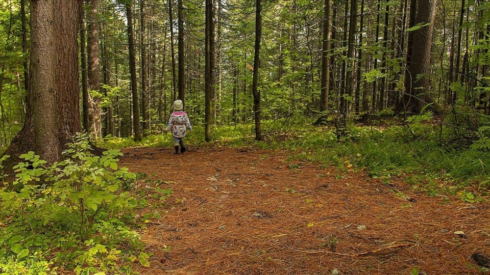 Avustralya onun için ayaklandı: Bulana 1 milyon dolar ödül!