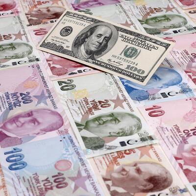 TL'de erime sürüyor