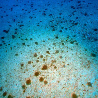 Turistik ilçeyi istila ettiler!