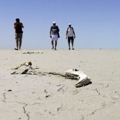 'Tuz Gölü´nü 30 yıla kadar kaybedebiliriz'