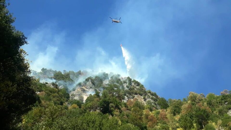 Osmaniye'deki orman yangını devam ediyor