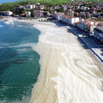 "Müsilaj tehlikesi sürüyor"