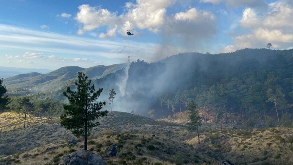 Edremit'te orman yangını