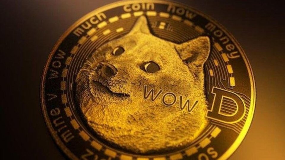 Dogecoin'de dalgalı seyir...