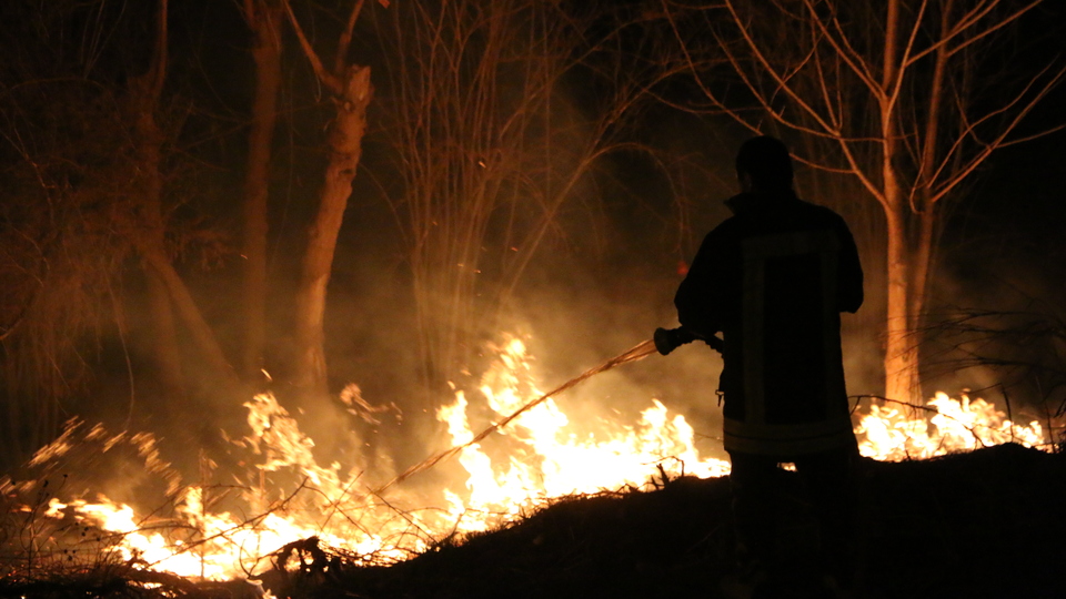 Yangın çıkardığı iddia edilen 7 turist tutuklandı