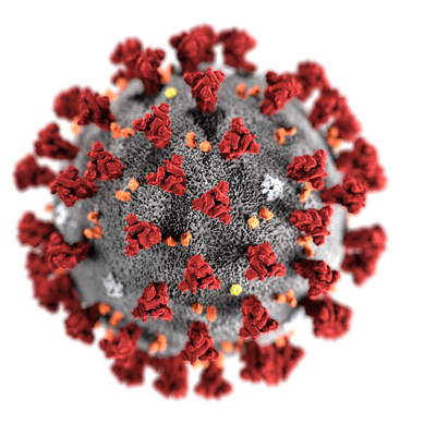 Covid-19'un yıkıcı zihinsel etkileri