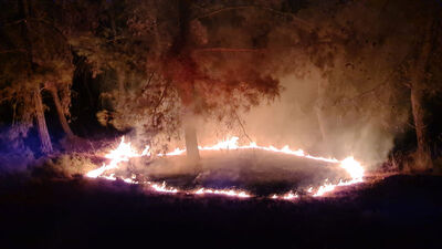 Antalya'da 3 noktada eş zamanlı orman yangını