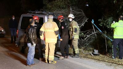 Hafif ticari araç ağaca çarptı: 1 ölü, 2 yaralı