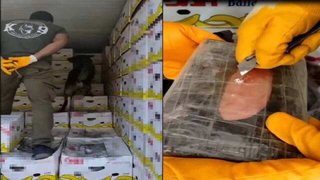 61 kilo! Mersin Limanı'nda muzların arasından çıktı
