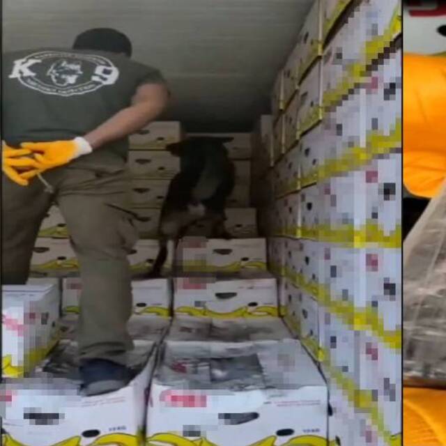 61 kilo! Mersin Limanı'nda muzların arasından çıktı
