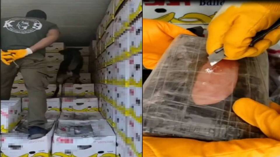 61 kilo! Mersin Limanı'nda muzların arasından çıktı