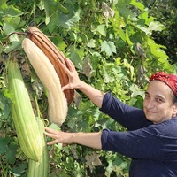 Mutfakta sıfır atık için 11 öneri