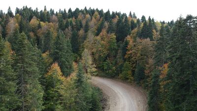 Sinop'ta Orman Bölge Müdürlüğü kuruldu