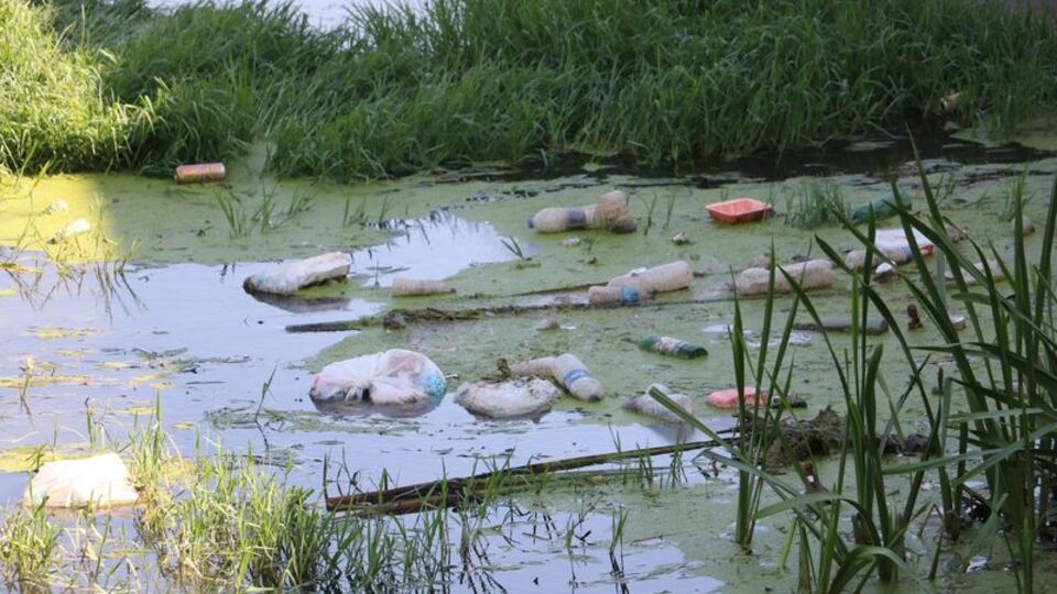 Tunca Nehri'nde çöp kirliliği!