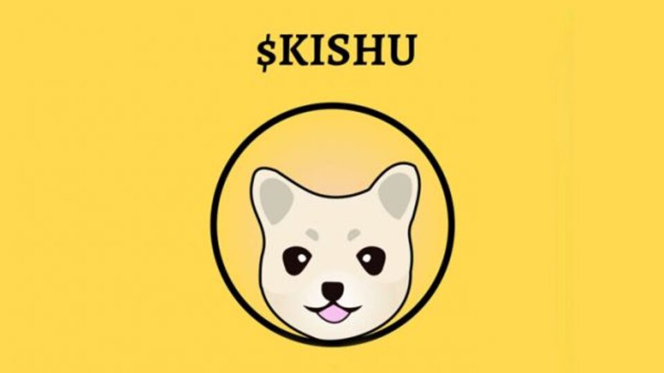 Kishu coin ne kadar, kaç TL?