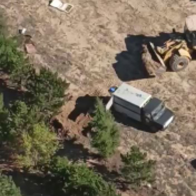 Korkunç iddia! Köpekleri uyuşturup gömdüler